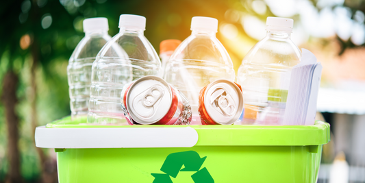 How to Recycle Properly: Do’s & Dont’s of Conservation
