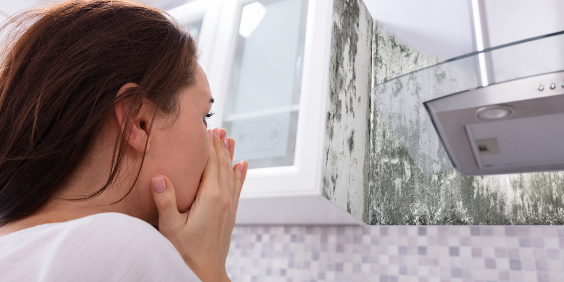 5 Sneaky Mold Hotspots in Your Home that You Need to Check More Often