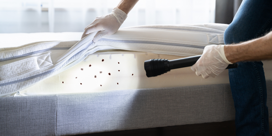 5 Unexpected Places to Check for Bed Bugs While You're Traveling