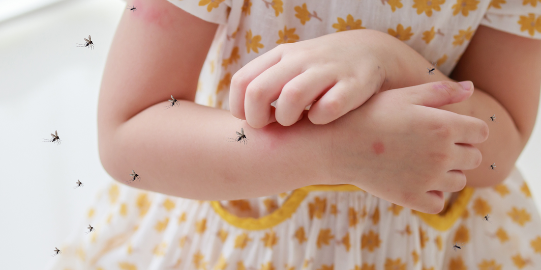 3 Simple Tricks to Keep Mosquitoes Out of Your Home for Good