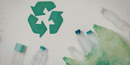 Simple Changes for a Greener Home