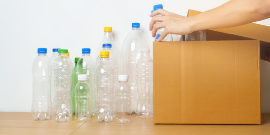 Sustainable Habits That Complement Recycling