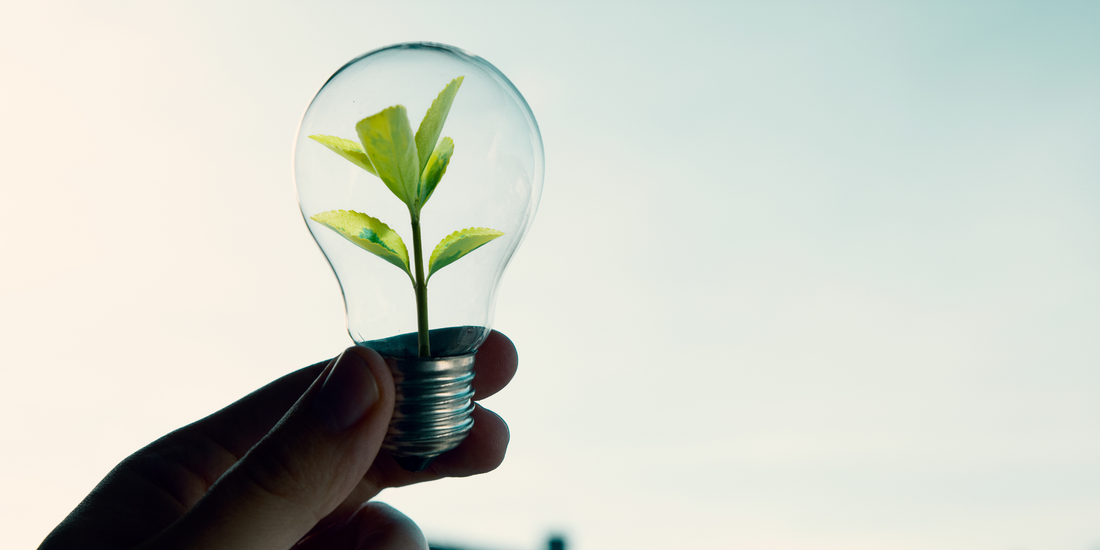 Why Small Sustainable Changes Matter