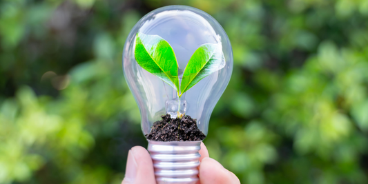 Why Sustainability Starts at Home