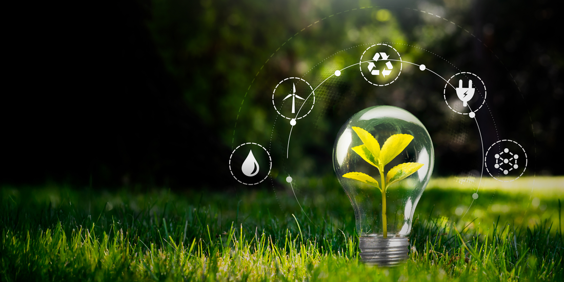 Simple Ways to Make Sustainable Choices at Home
