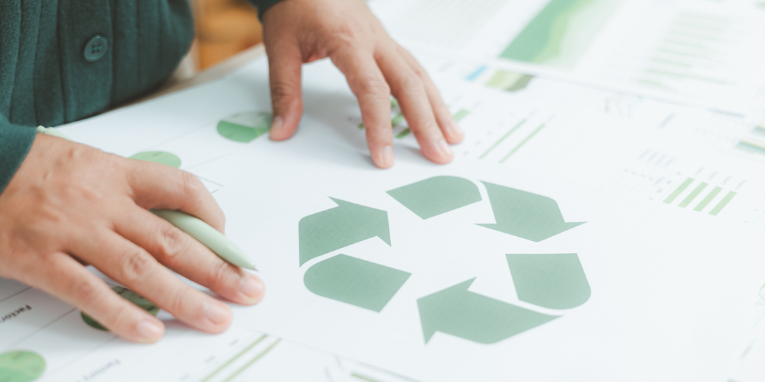 What Is a Sustainable Home? A Simple Beginner’s Guide