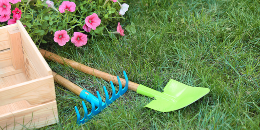 Why Sustainability Is the Biggest Yard Care Trend This Spring