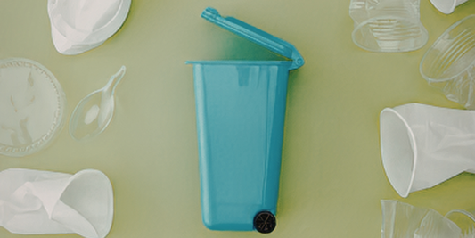 Easy Eco-Friendly Changes You Can Make This Week