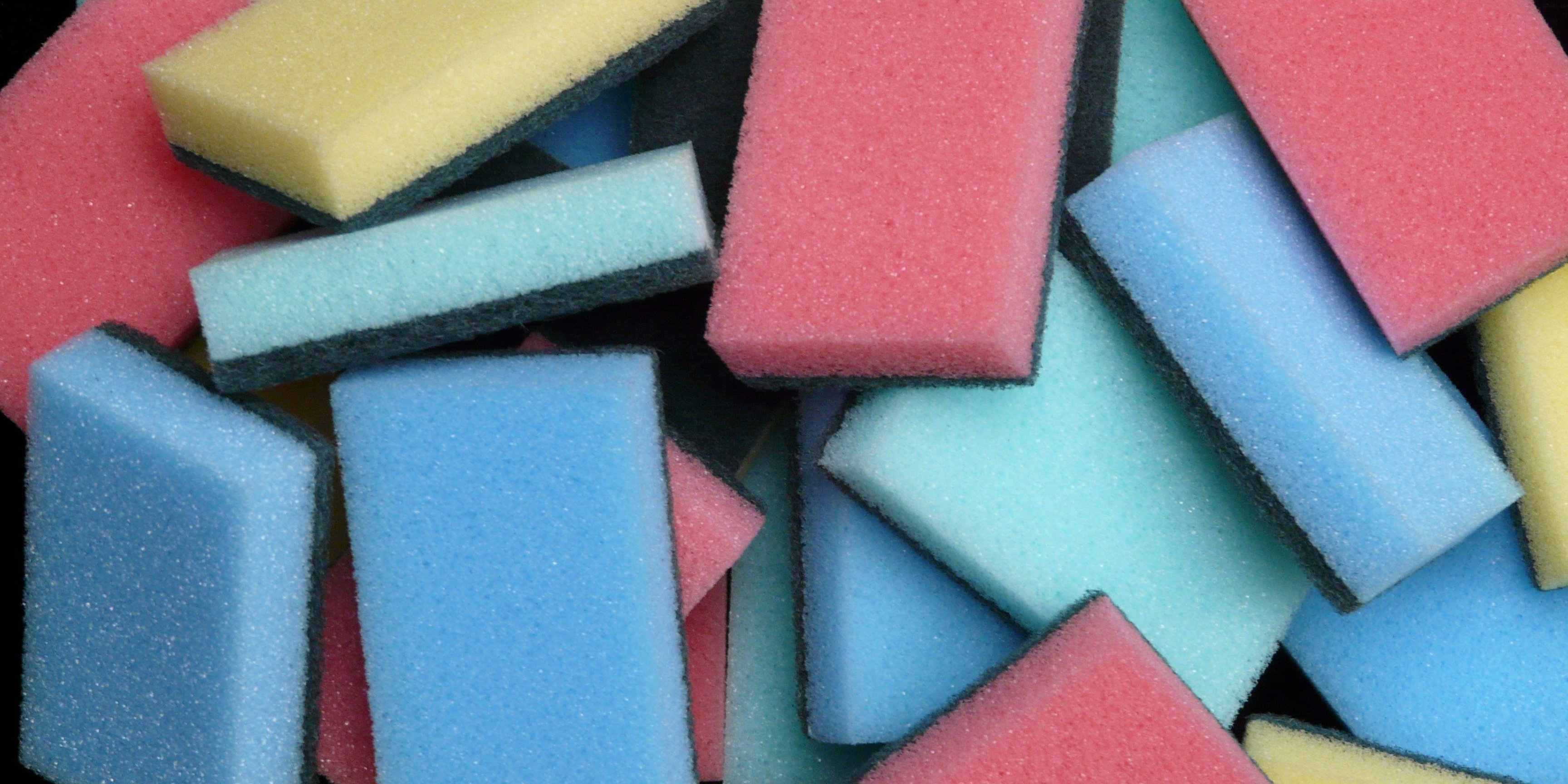 How Often Should You Replace Your Sponge? – Sophie & Panda