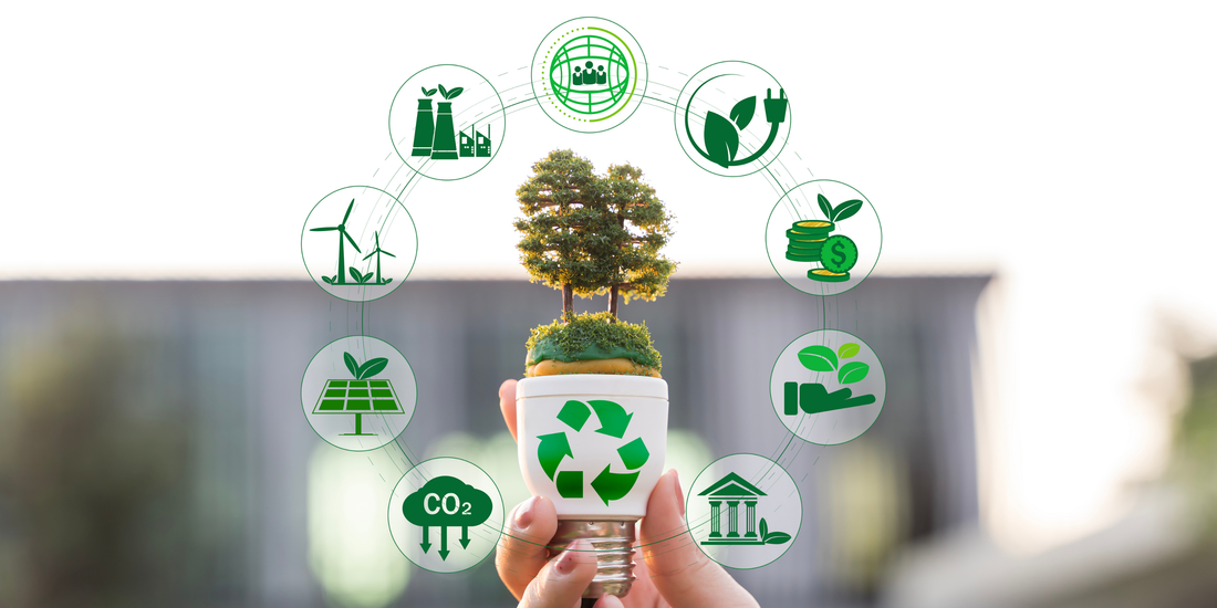 Making Sustainable Living Practical in a Small Home