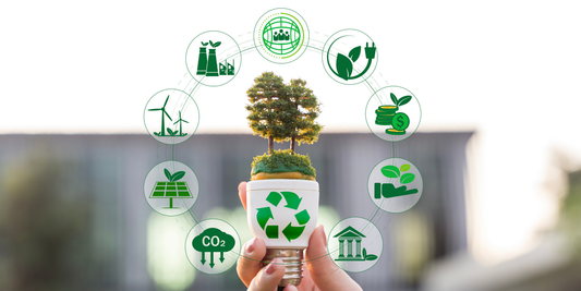 Making Sustainable Living Practical in a Small Home