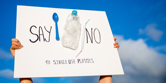 Reusable Alternatives To Single-Use Plastics