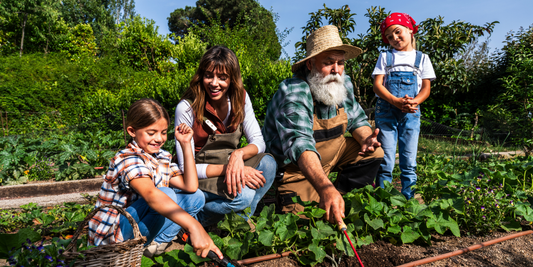 The Benefits of Creating a Sustainable Home