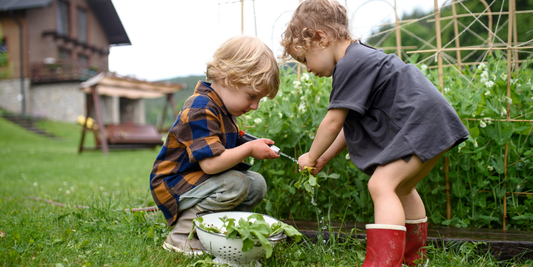 How to Make Sustainability Fun for Children