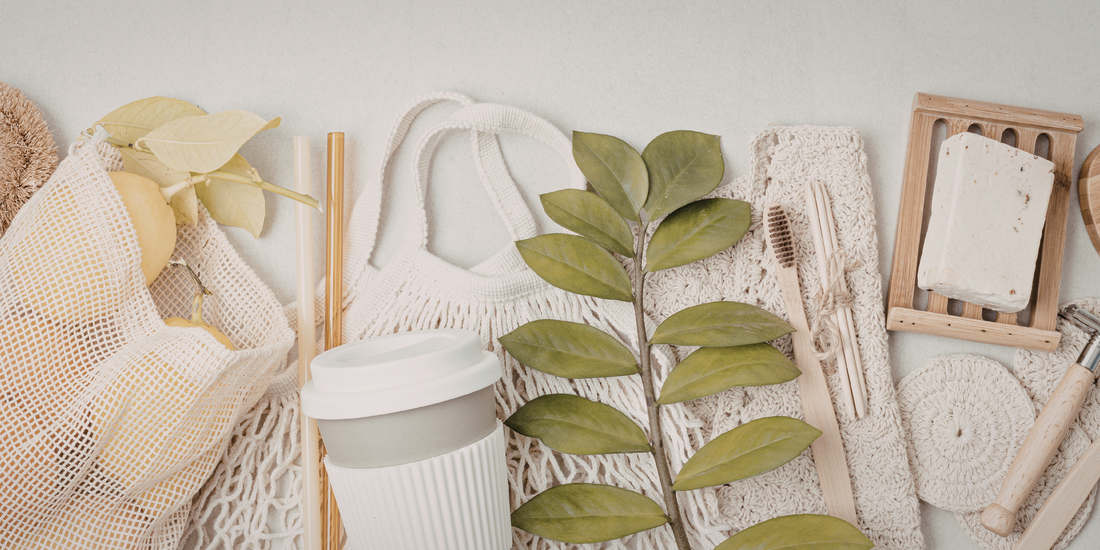 Eco-Friendly Swaps for Your Home