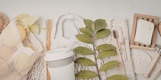 Eco-Friendly Swaps for Your Home