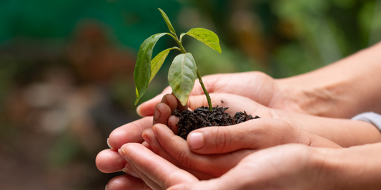 The Connection Between Minimalism and Sustainability