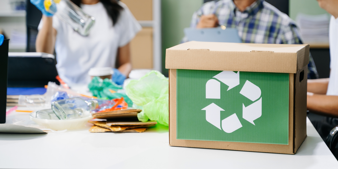 Recycling Myths You Should Stop Believing