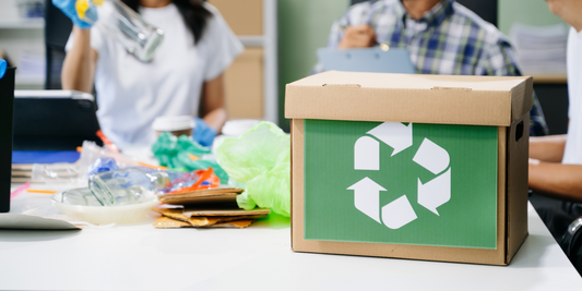Recycling Myths You Should Stop Believing