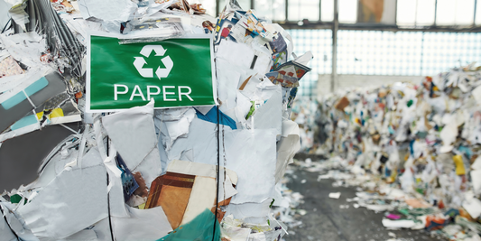 Common Paper Recycling Mistakes