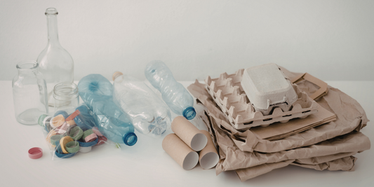 Sustainable Living: Simple Steps for a Greener Everyday Life
