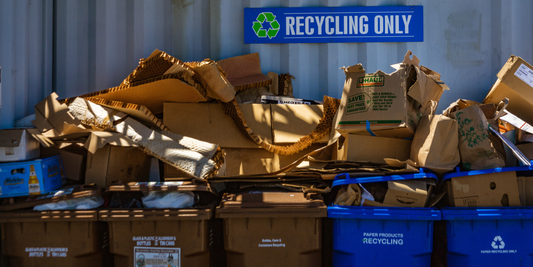 Understanding the Recycling Process