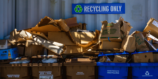 Recycling Facts That May Surprise You